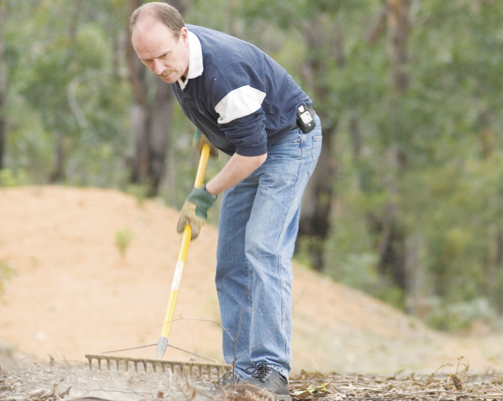 Bushfire bushfire survival planning